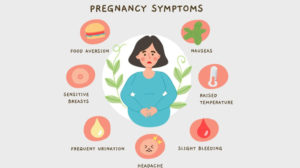 Early Pregnancy Symptoms