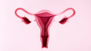 How Common Are Fibroids_ Key Statistics and Insights